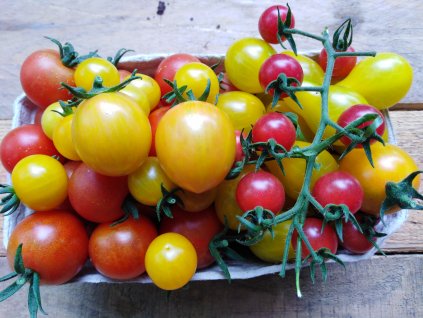 Rajčata Polabský mix, 500g