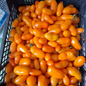 Cherry rajčátka žlutá, 500g