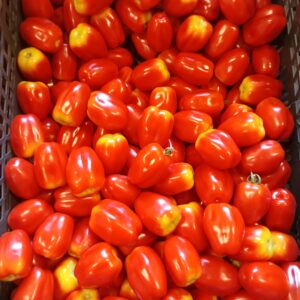 Rajčata cherry "srdíčka", 500g
