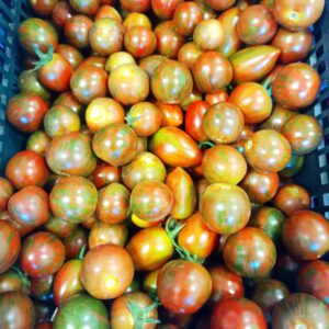Rajčata koktejlová ZEBRINO, 500g